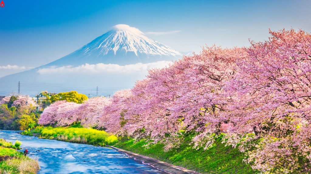 Monte Fuji