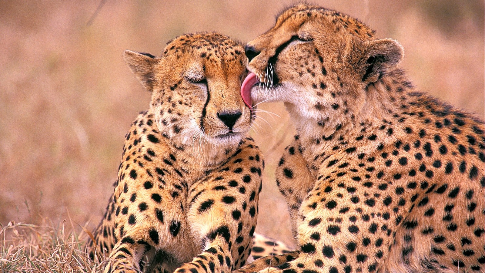 TANZANIA